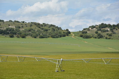 Scenic view of grassy field against sky