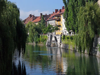 Bridge over river amidst trees and buildings against sky