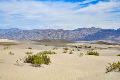 Scenic view of desert against sky