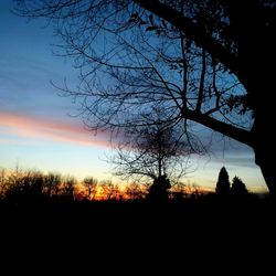 Silhouette trees against sky during sunset