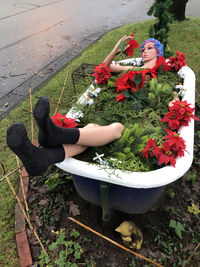 Mannequin in bathtub as street art installation with christmas flowers