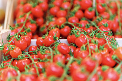 Full frame shot of tomatoes