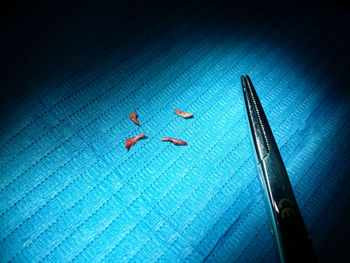 High angle view of drawing on blue table