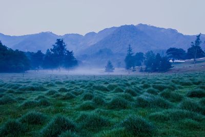 Scenic view of landscape against sky