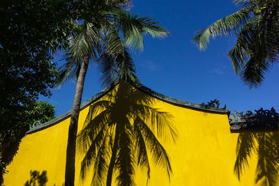 Low angle view of palm trees against sky