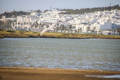 Buildings by sea against sky