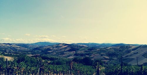 Scenic view of landscape against sky