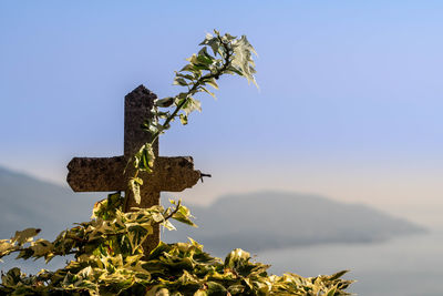 Close-up of cross against clear sky