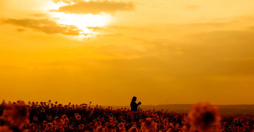 Woman standing on flowering field against sky during sunset