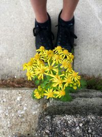 Low section of person with yellow flowers on footpath