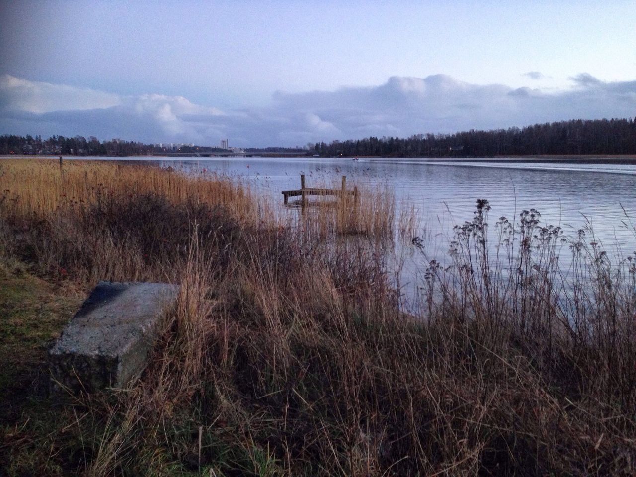 water, lake, tranquil scene, tranquility, sky, scenics, grass, beauty in nature, nature, reflection, lakeshore, landscape, plant, tree, non-urban scene, idyllic, calm, cloud - sky, field, river