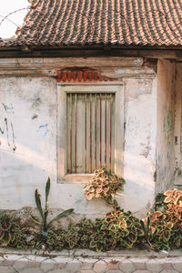 Closed wooden door of building