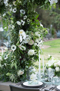 Close-up of white flowers in vase on table