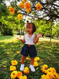 Full length of a baby girl standing on yellow flowering plants