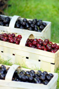 Fruits in crate for sale in box