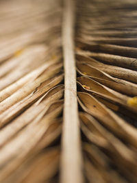 Full frame shot of wood