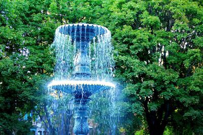Water splashing fountain against trees