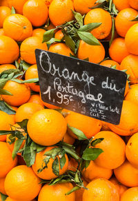 Close-up of various oranges