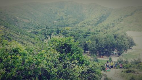 Scenic view of landscape