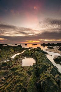 Scenic view of landscape against sky during sunset