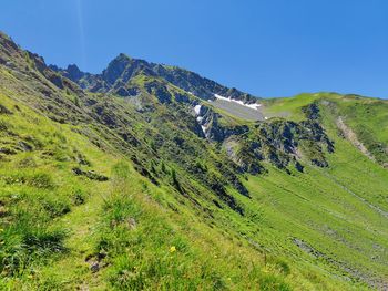 Scenic view of landscape against clear blue sky