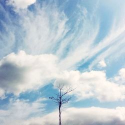 Low angle view of power lines against cloudy sky