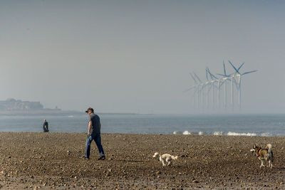 Full length of man walking with dogs at beach