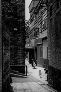 Man cycling on street amidst buildings