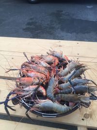 High angle view of prawns