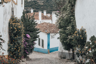 Trees and plants growing outside building