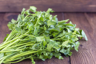 A bunch of parsley on a wooden background. organic parsley  on  board. a bunch of raw parsley grass.