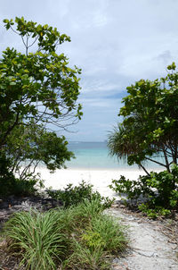 Scenic view of sea against sky