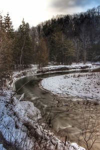 Scenic view of trees during winter