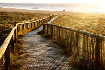 Wooden posts on beach