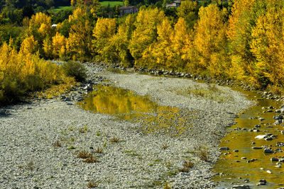 High angle view of river flowing amidst trees during autumn