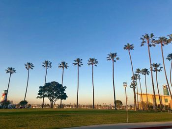 Low angle view of coconut palm trees on field against sky