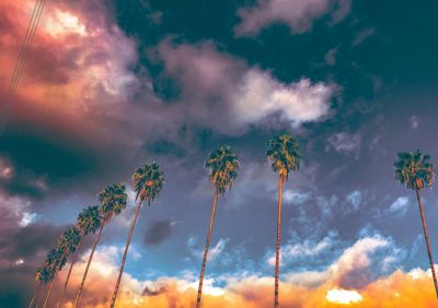 Low angle view of trees against sky