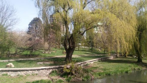 Scenic view of lake