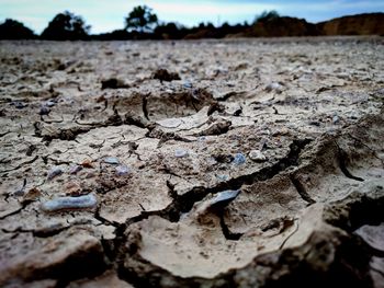 Close-up of cracked against sky