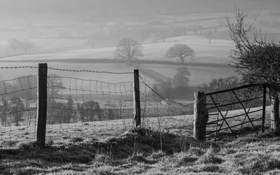 Fence on field by trees against sky