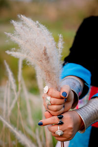 Close-up of woman hand holding plant