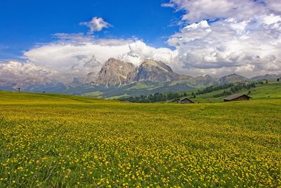 Scenic view of grassy field against cloudy sky