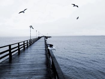 Silhouette of birds on pier over sea