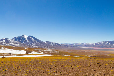 Scenic view of snowcapped mountains against clear blue sky