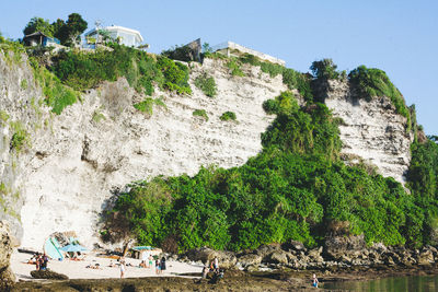 People on cliff by trees against sky