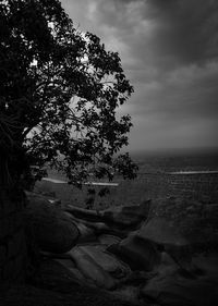 Tree by rocks against sky