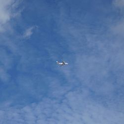 Low angle view of airplane flying in sky