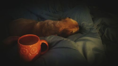 Low section of man relaxing on bed