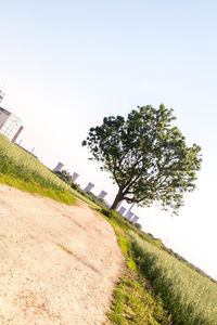 Tree on field against clear sky