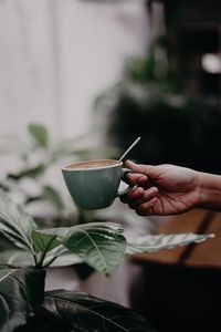 Cropped hand of woman holding coffee cup